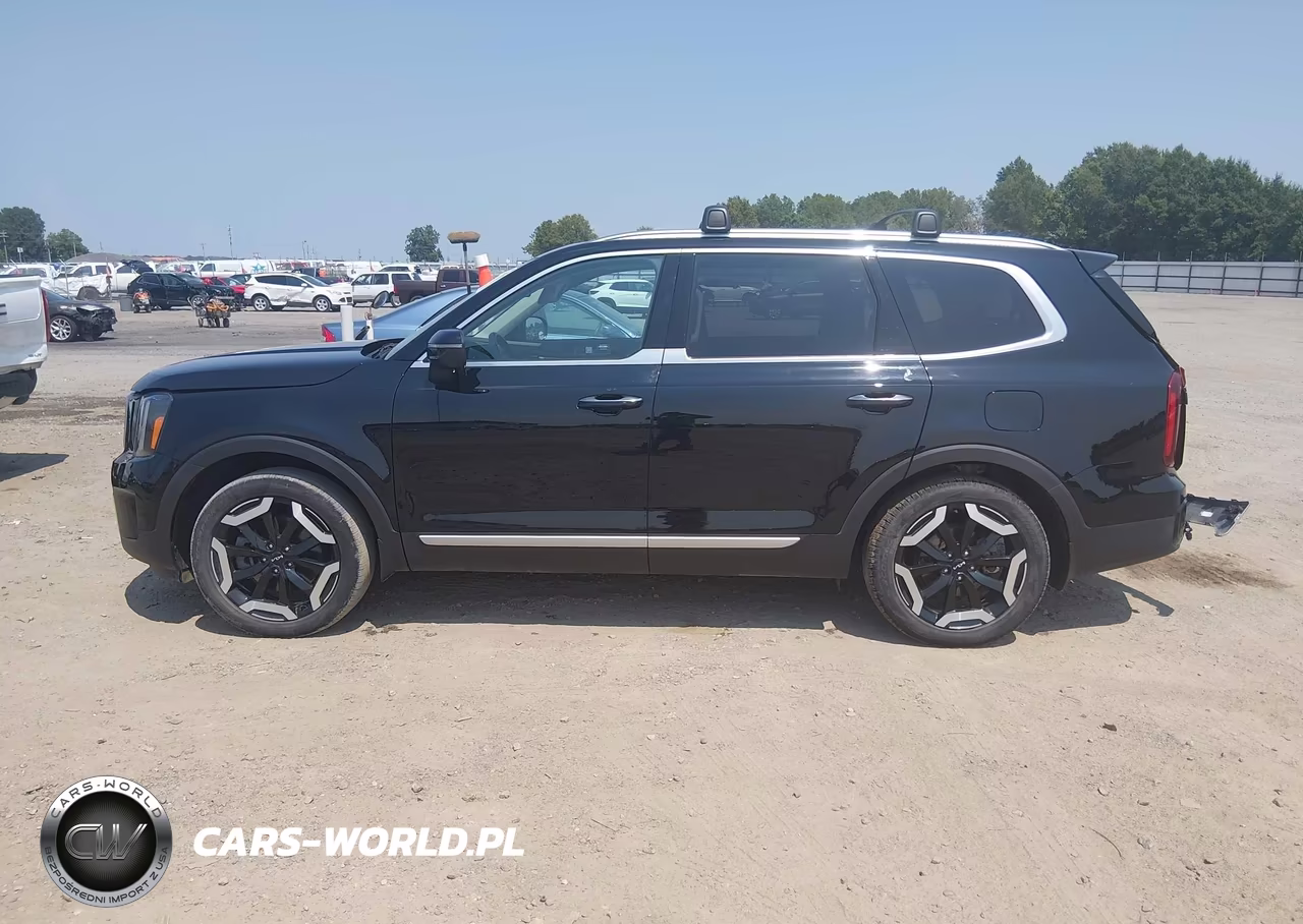 2024 Kia Telluride S VIN:5XYP6DGC3RG442461 - 14