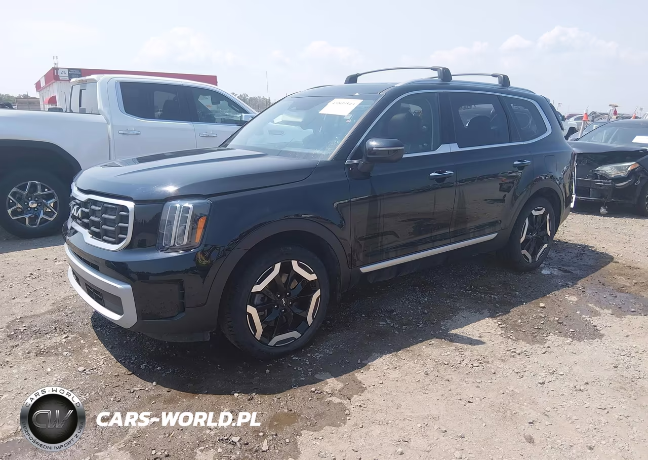 2024 Kia Telluride S VIN:5XYP6DGC3RG442461 - 2