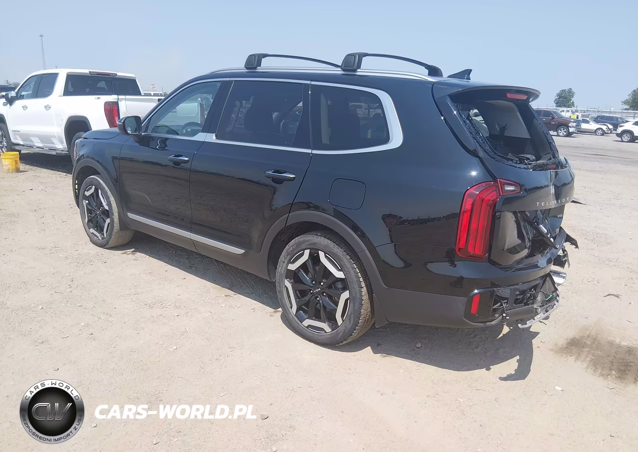 2024 Kia Telluride S VIN:5XYP6DGC3RG442461 - 3