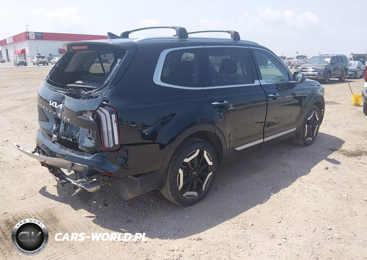 2024 Kia Telluride S VIN:5XYP6DGC3RG442461 - 4