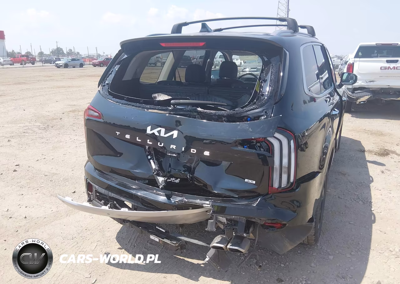 2024 Kia Telluride S VIN:5XYP6DGC3RG442461 - 6