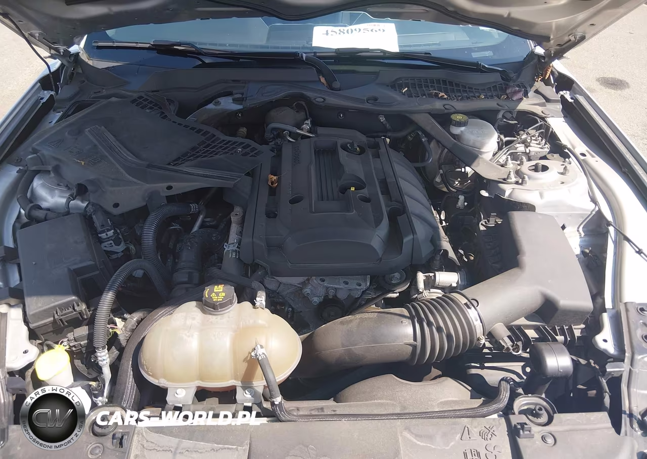 2018 Ford Mustang Ecoboost VIN:1FA6P8TH9J5170261 - 10