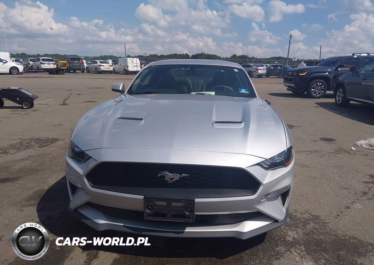 2018 Ford Mustang Ecoboost VIN:1FA6P8TH9J5170261 - 12
