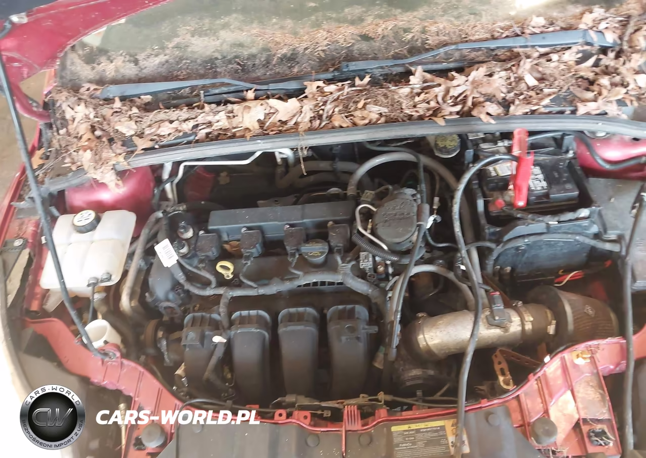 2012 Ford Focus Se VIN:1FAHP3F24CL311965 - 10
