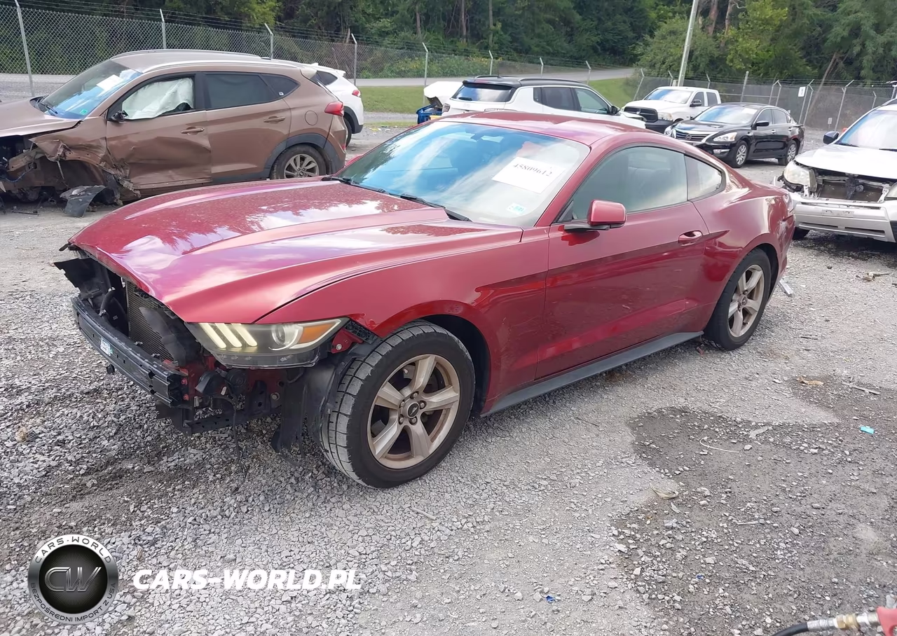 2016 Ford Mustang V6 VIN:1FA6P8AM2G5201505 - 2