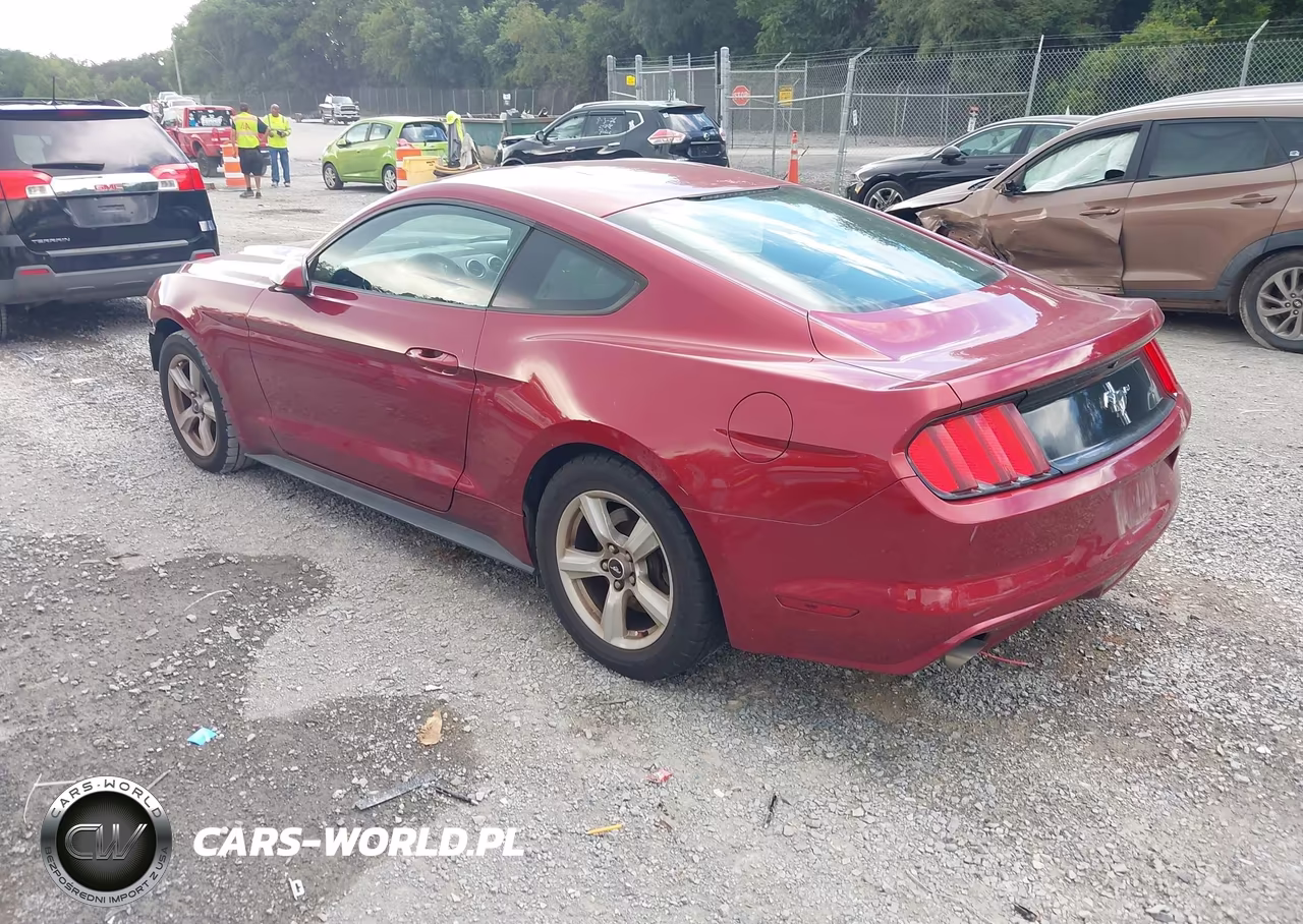 2016 Ford Mustang V6 VIN:1FA6P8AM2G5201505 - 3