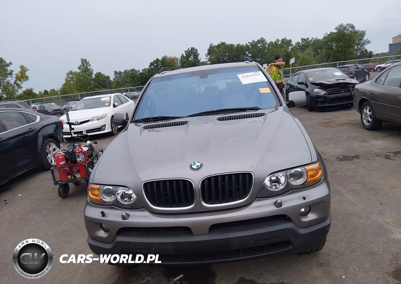 2006 BMW X5 3.0I VIN:5UXFA13576LY35779 - 12