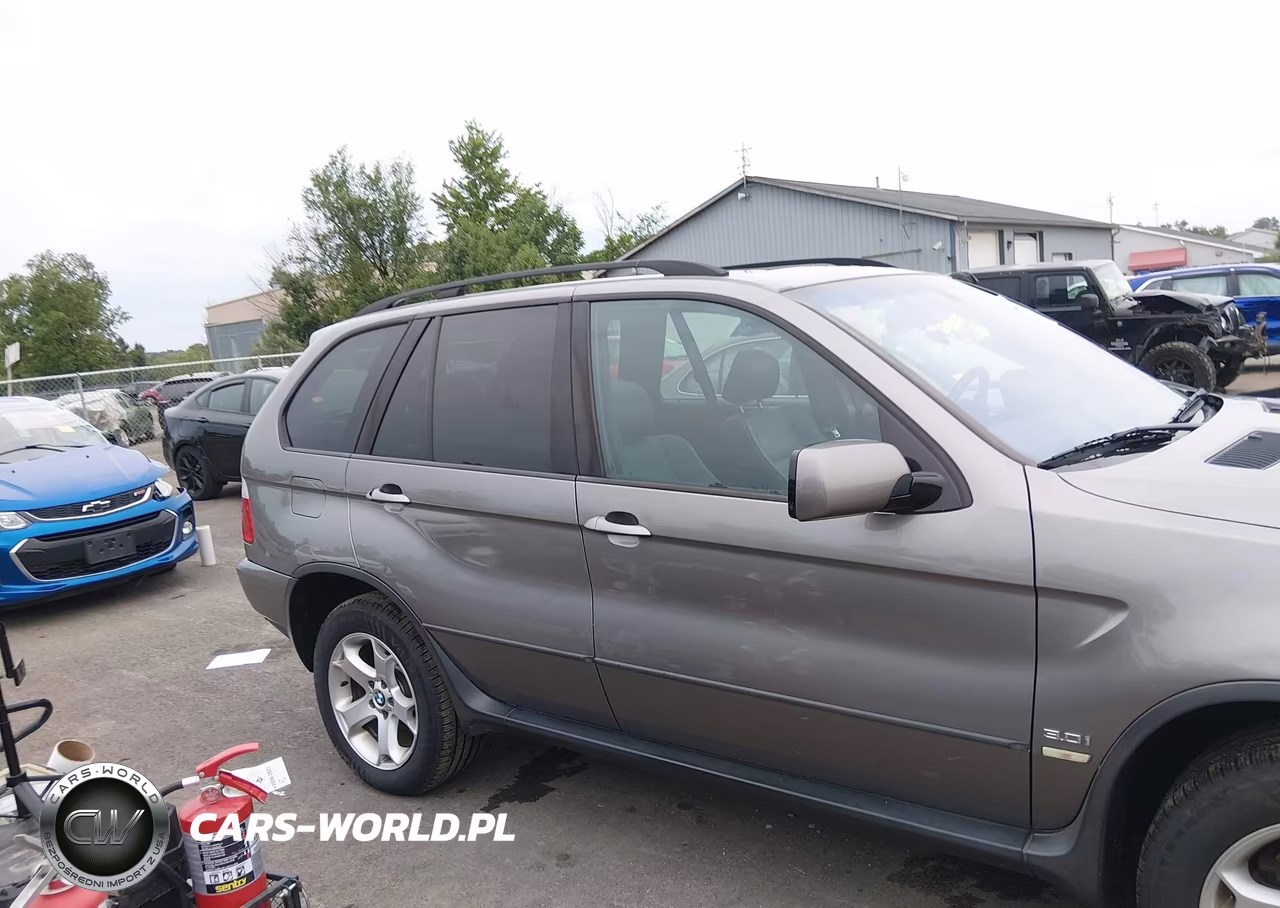 2006 BMW X5 3.0I VIN:5UXFA13576LY35779 - 13