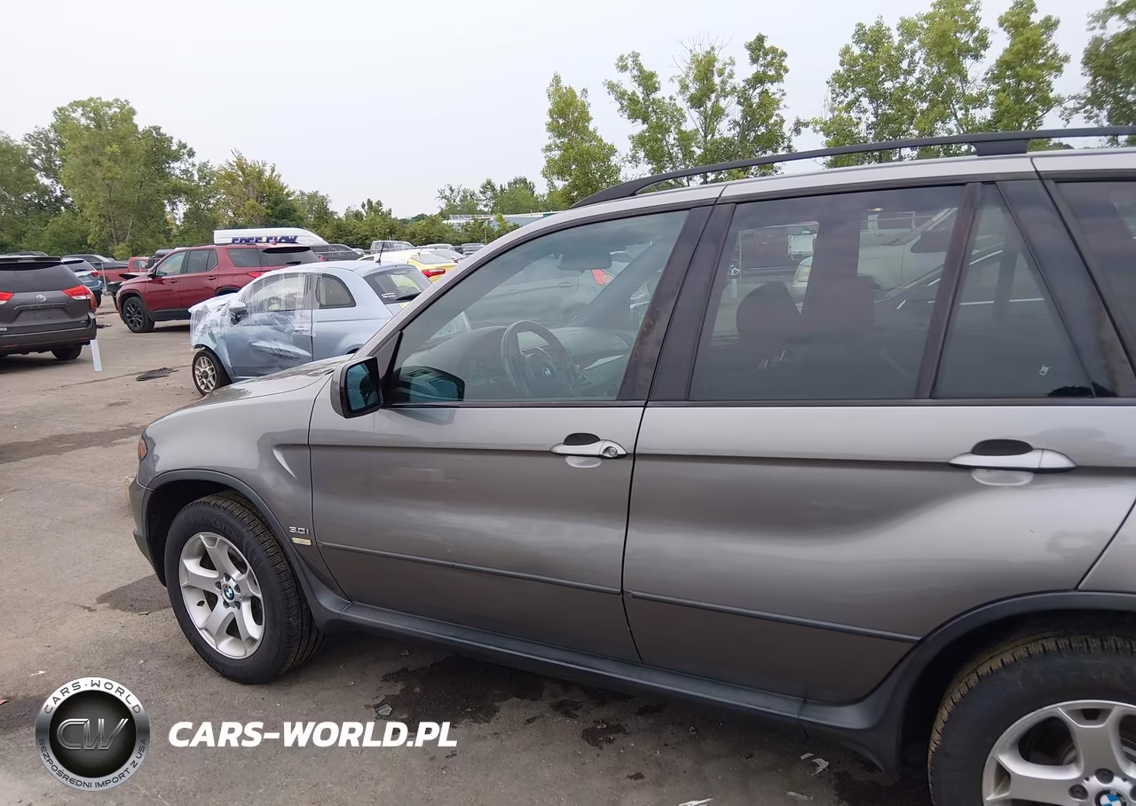 2006 BMW X5 3.0I VIN:5UXFA13576LY35779 - 14