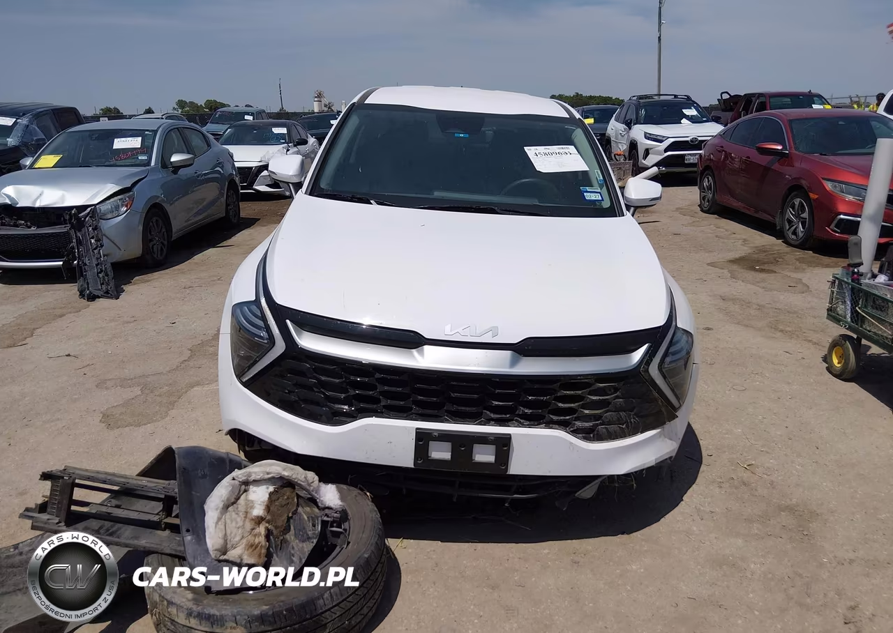 2025 Kia Sportage Ex VIN:5XYK33DF1SG306296 - 12