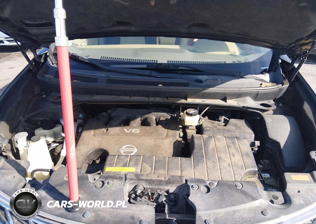2012 Nissan Murano Le VIN:JN8AZ1MW1CW207520 - 10