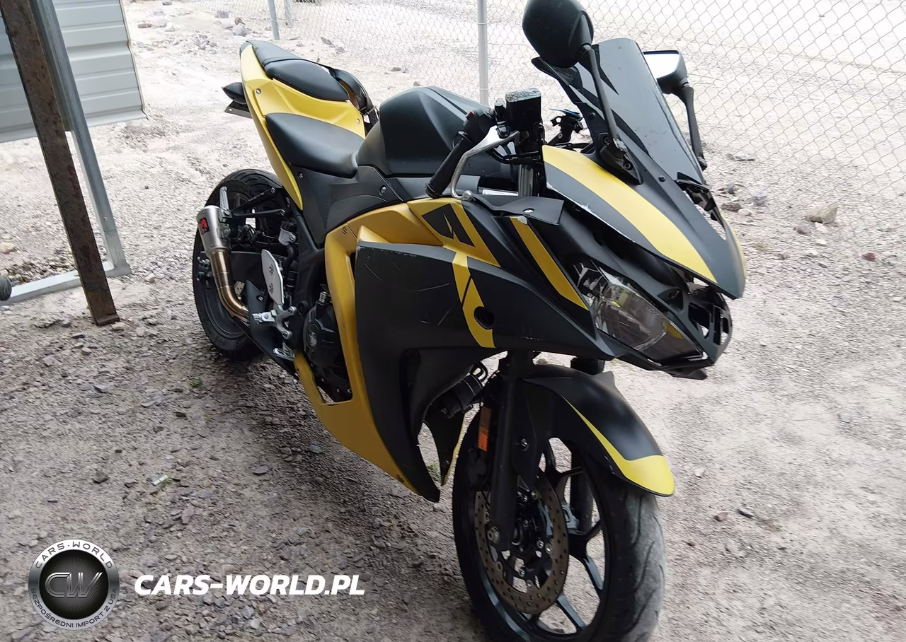 2018 Yamaha Yzfr3 A
