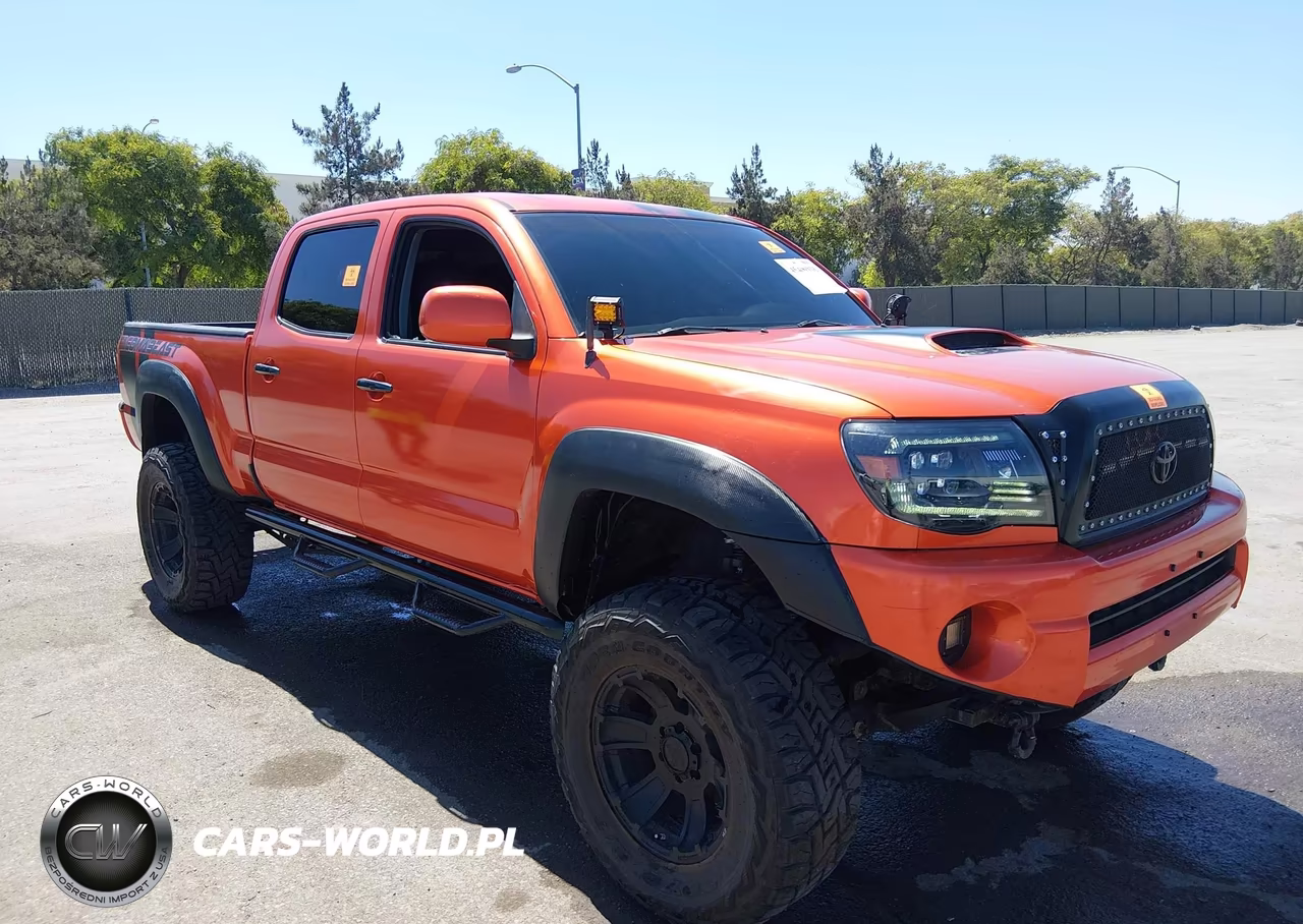 2009 Toyota Tacoma Base V6 VIN:3TMMU52N49M011234 - 6