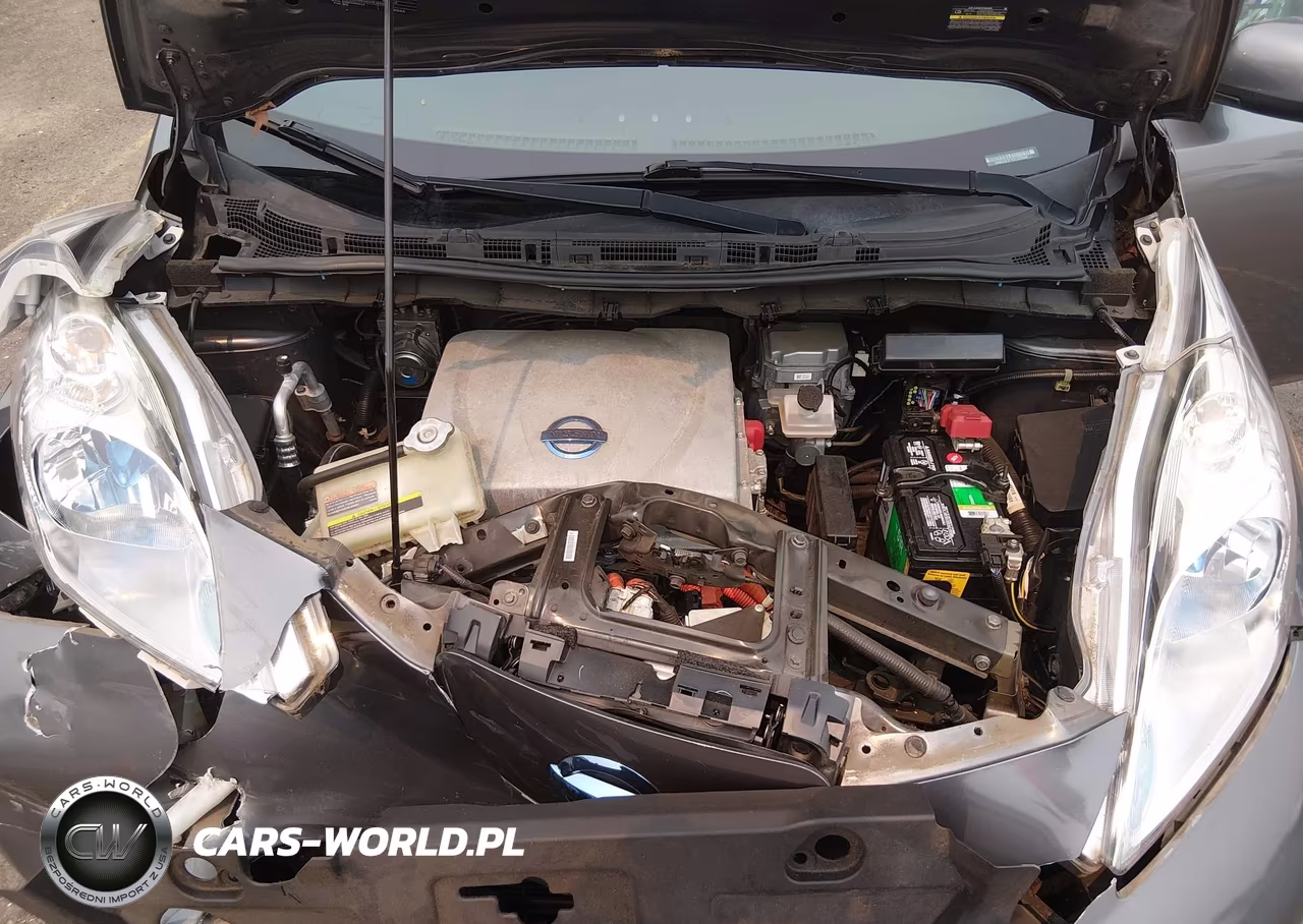 2014 Nissan Leaf S-Sv-Sl VIN:1N4AZ0CP7EC335948 - 10