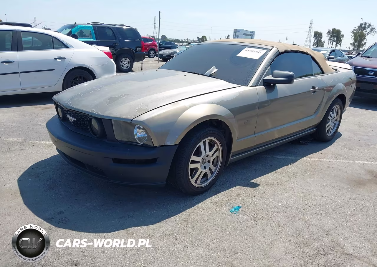 2005 Ford Mustang Gt VIN:1ZVHT85H555201066 - 2