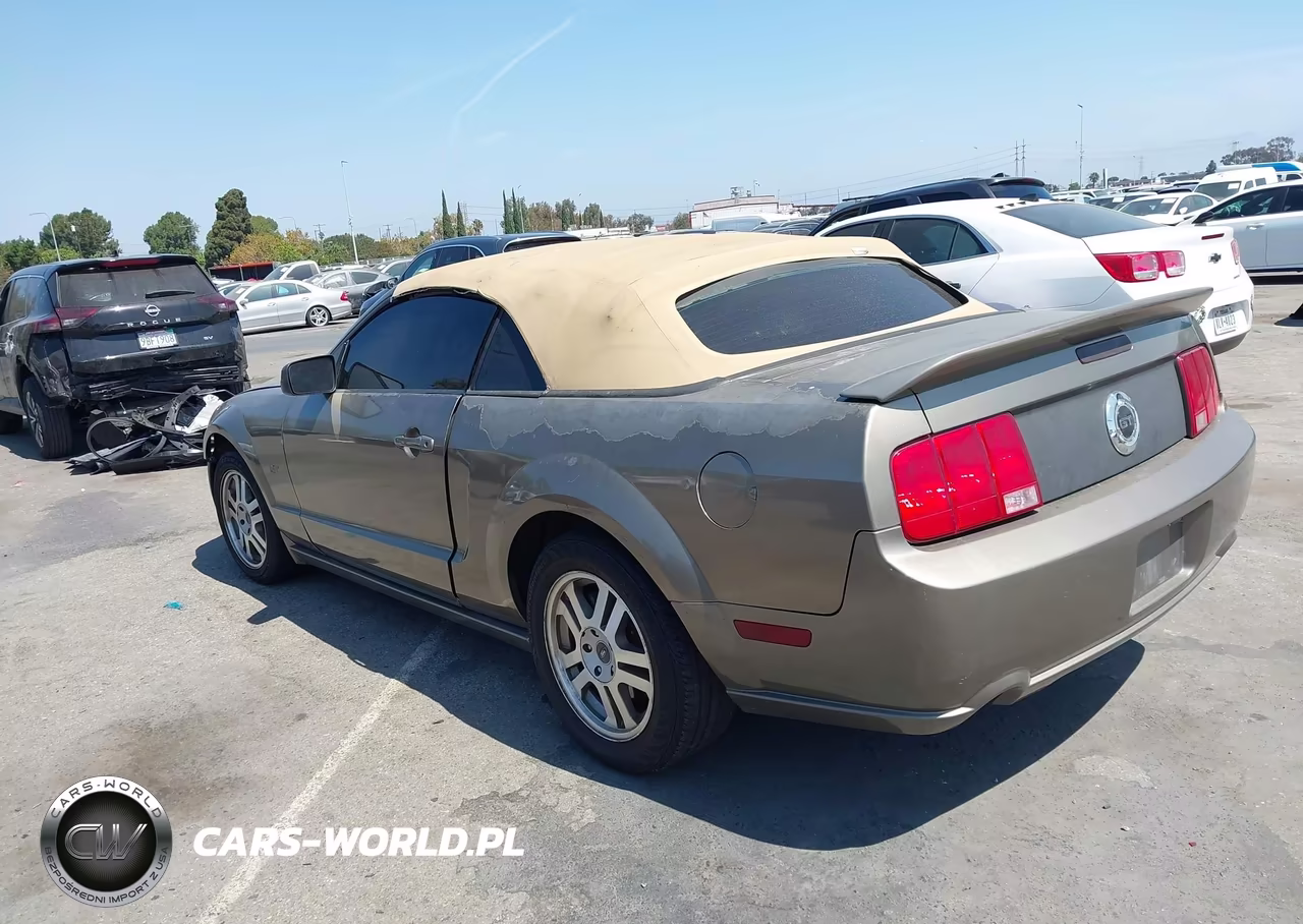 2005 Ford Mustang Gt VIN:1ZVHT85H555201066 - 3