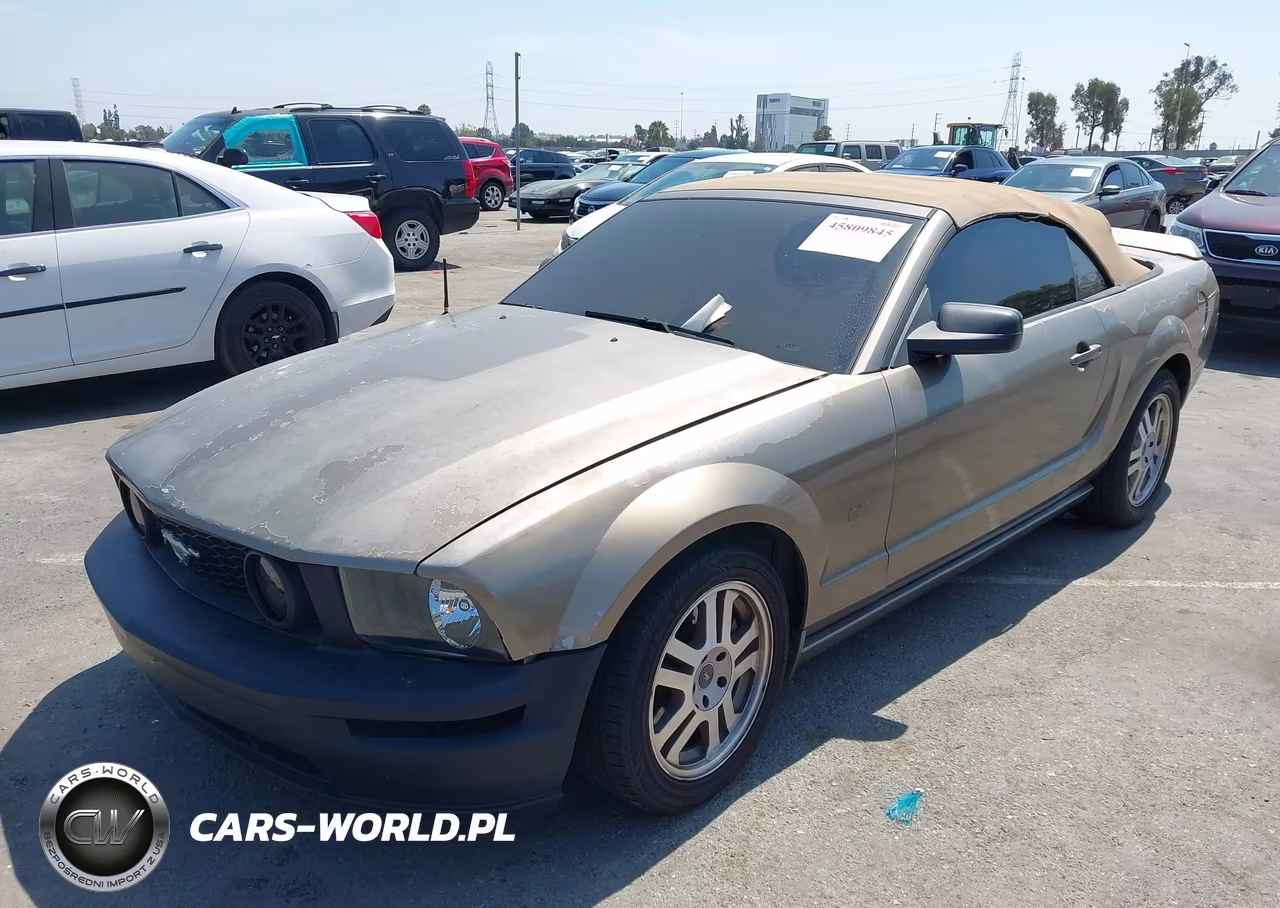 2005 Ford Mustang Gt VIN:1ZVHT85H555201066 - 6