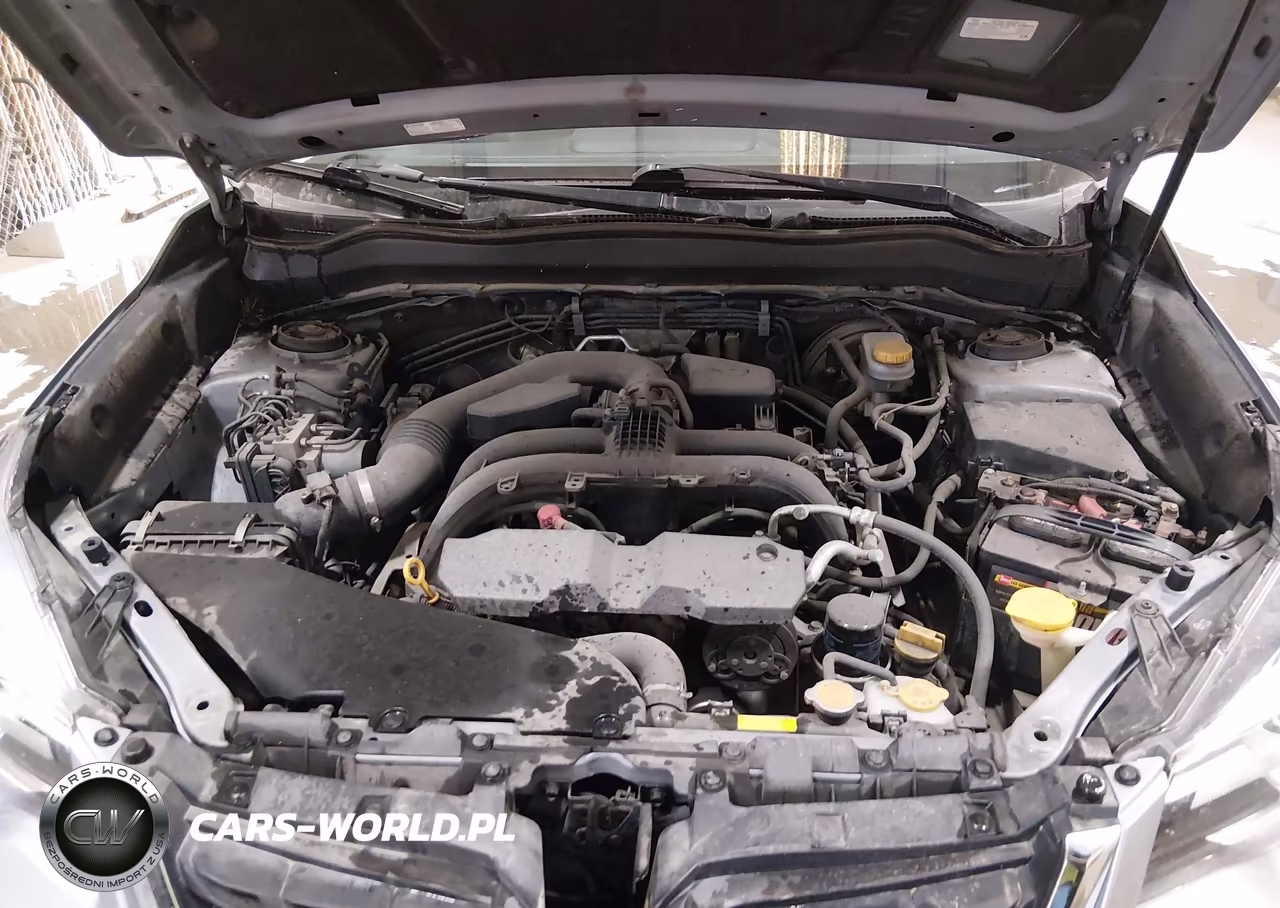 2017 Subaru Forester 2.5I Touring VIN:JF2SJAWC3HH429788 - 10