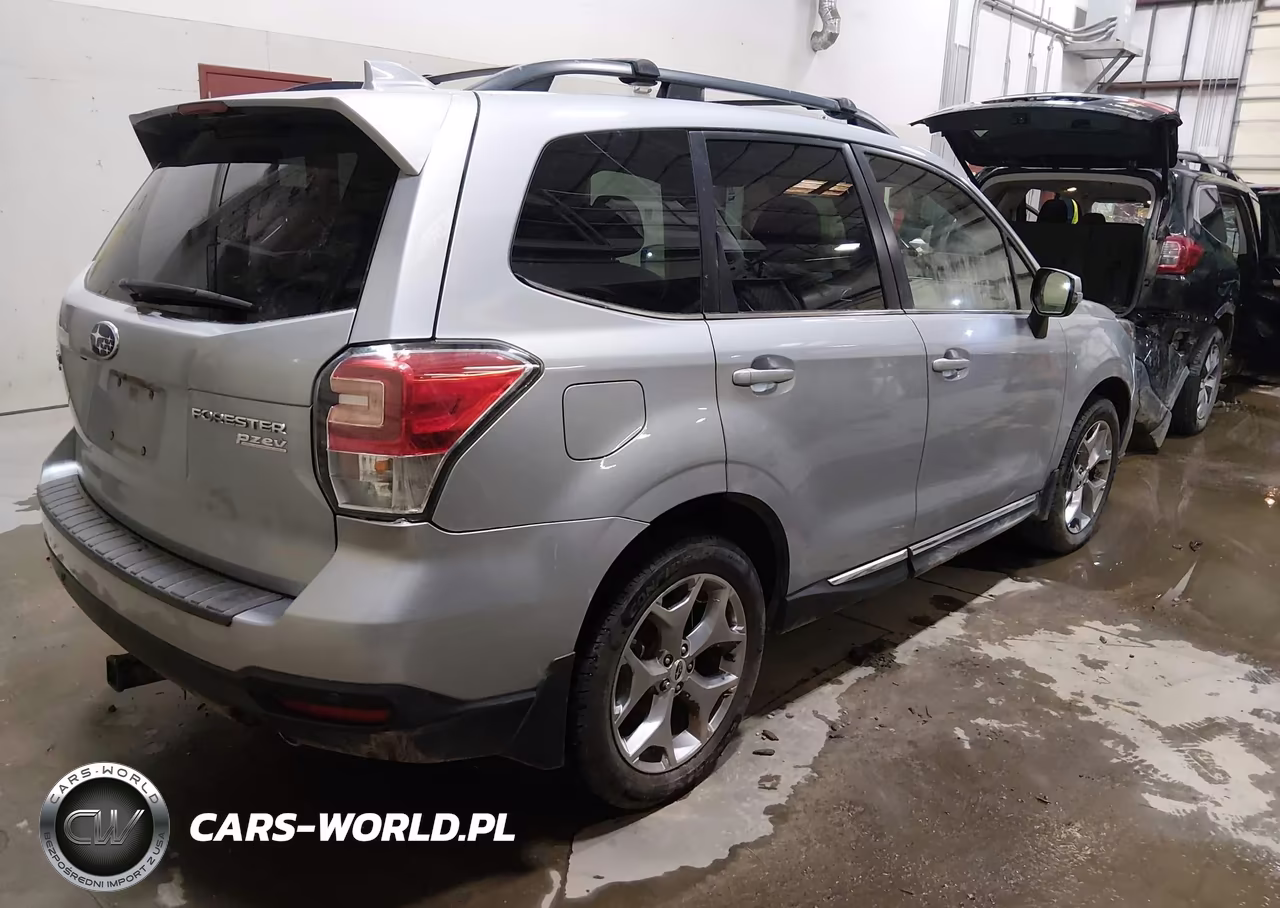2017 Subaru Forester 2.5I Touring VIN:JF2SJAWC3HH429788 - 4