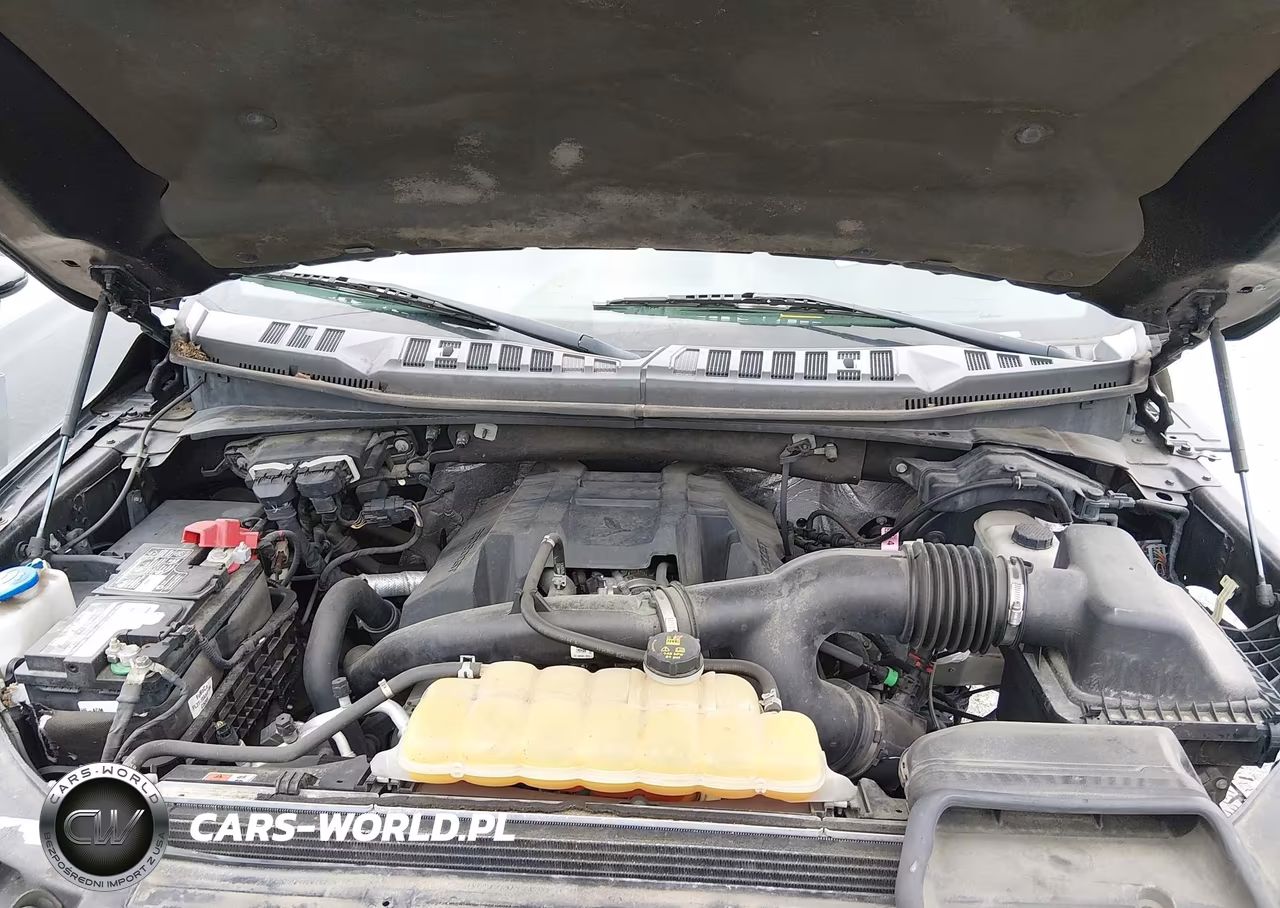 2015 Ford F-150 Xl VIN:1FTEX1EP6FKF21069 - 10