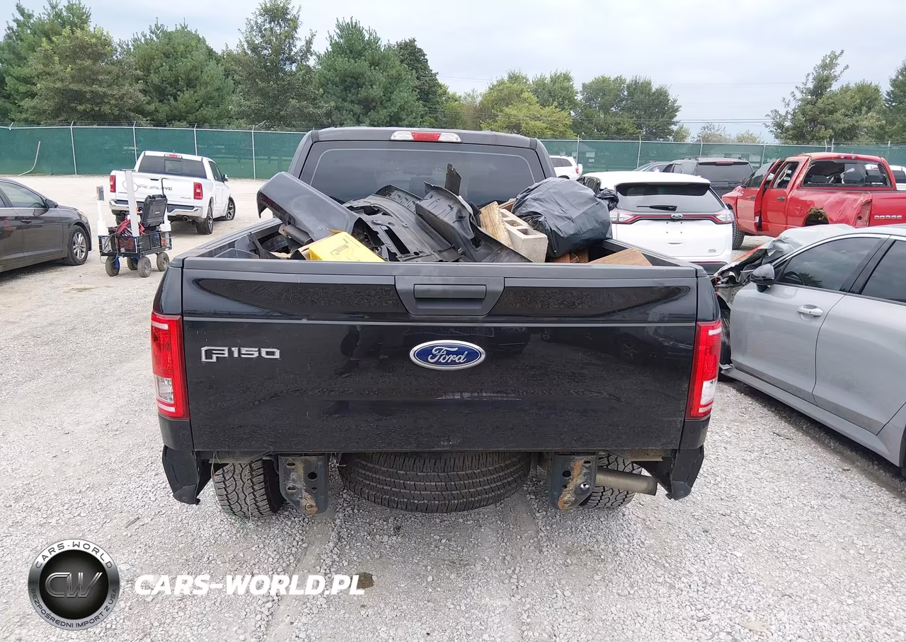 2015 Ford F-150 Xl VIN:1FTEX1EP6FKF21069 - 17