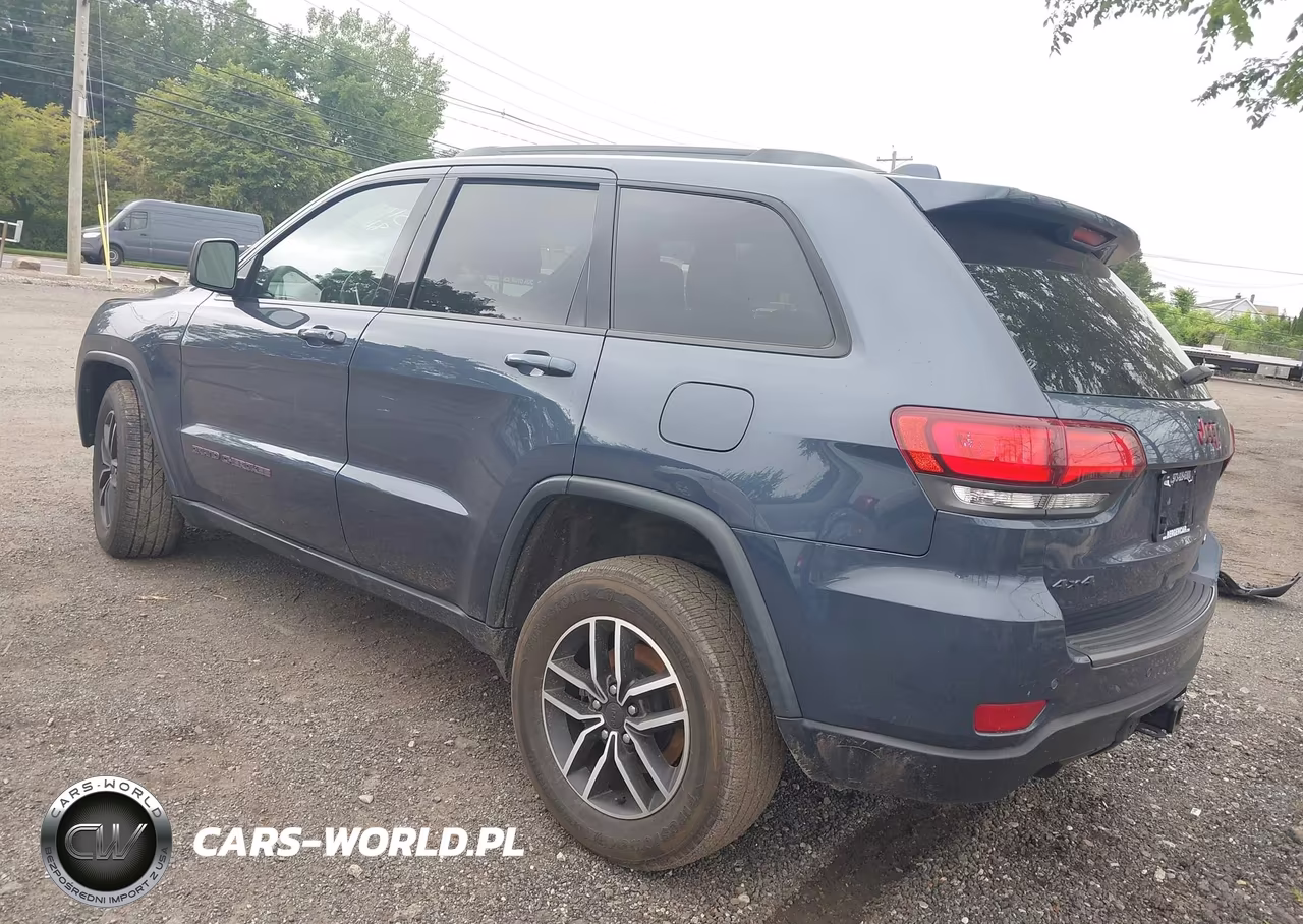 2020 Jeep Grand Cherokee Trailhawk 4X4 VIN:1C4RJFLG0LC194516 - 3