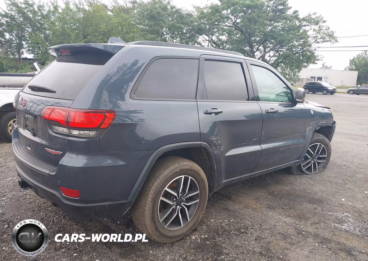 2020 Jeep Grand Cherokee Trailhawk 4X4 VIN:1C4RJFLG0LC194516 - 4