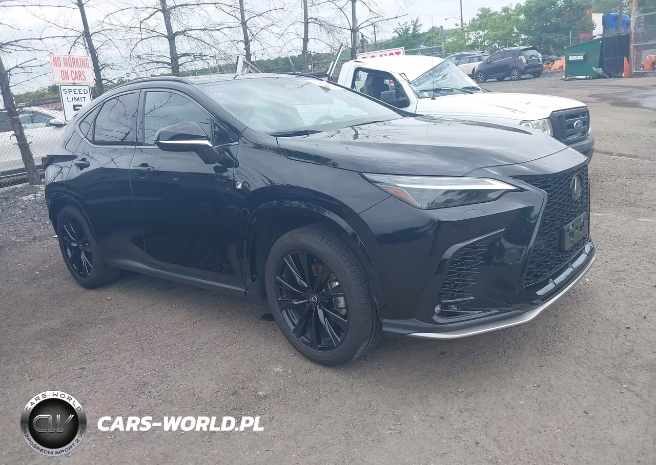 2025 Lexus Nx 350 F Sport Handling VIN:2T2KGCEZ7SC084030 - 1