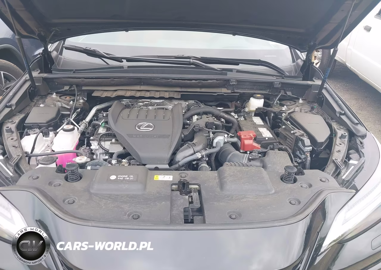 2025 Lexus Nx 350 F Sport Handling VIN:2T2KGCEZ7SC084030 - 10