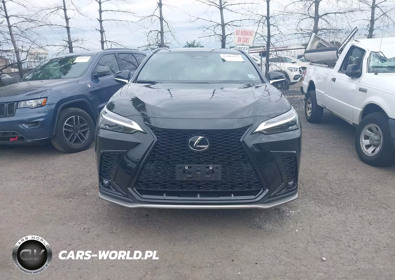 2025 Lexus Nx 350 F Sport Handling VIN:2T2KGCEZ7SC084030 - 12