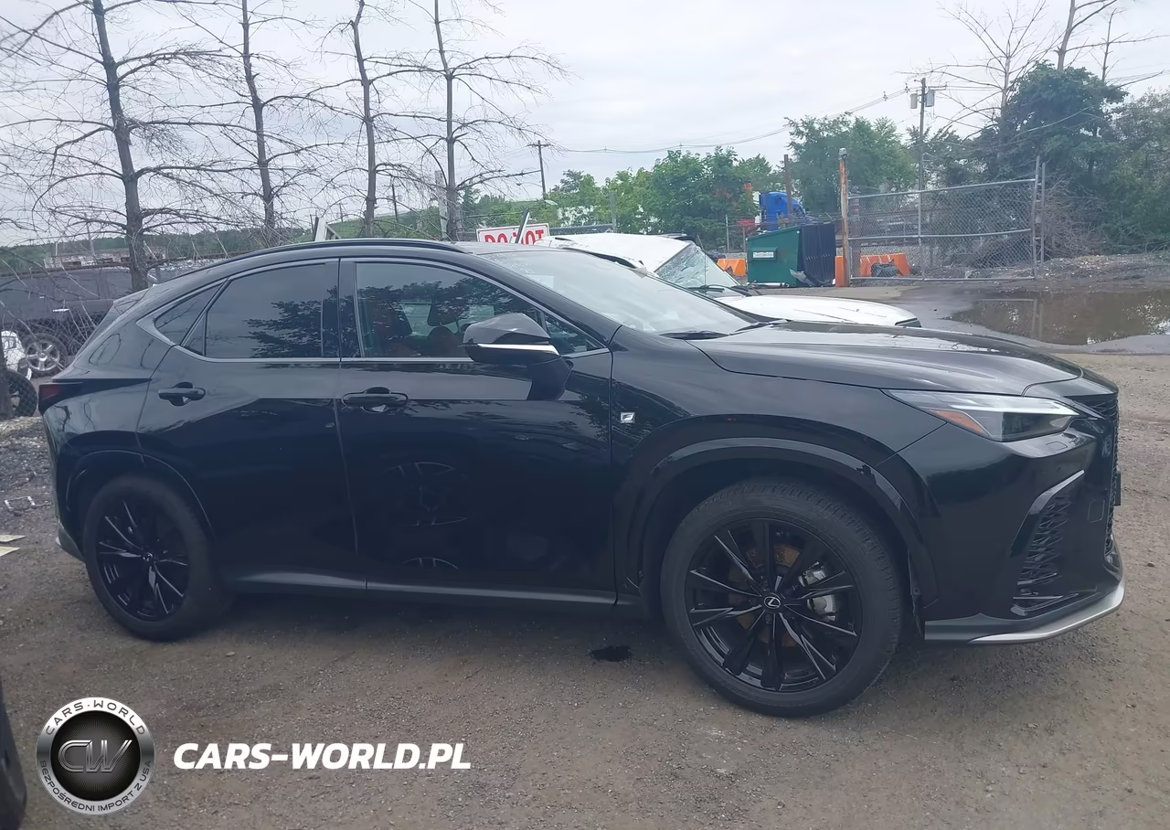 2025 Lexus Nx 350 F Sport Handling VIN:2T2KGCEZ7SC084030 - 13