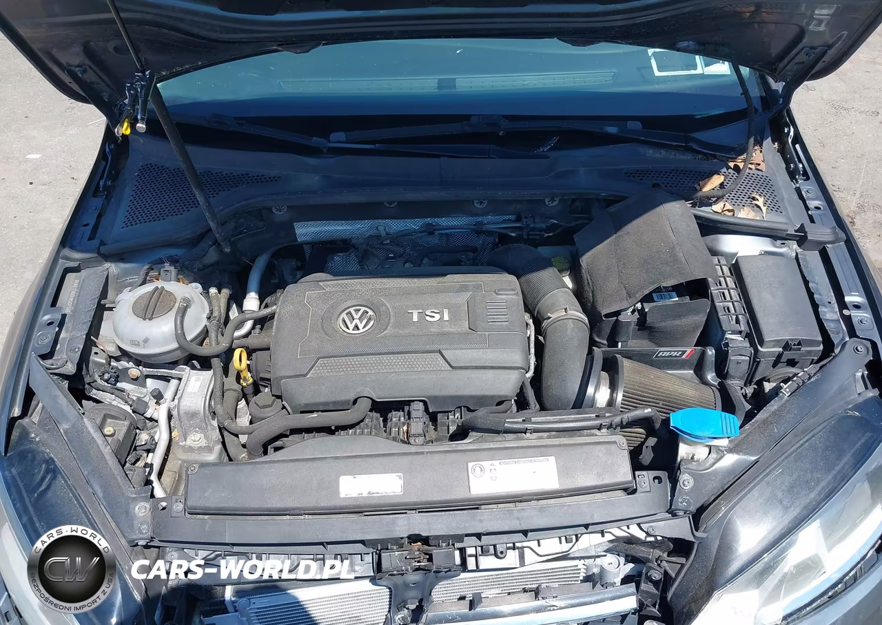 2017 Volkswagen Golf Sportwagen Tsi S VIN:3VW017AU3HM507245 - 10