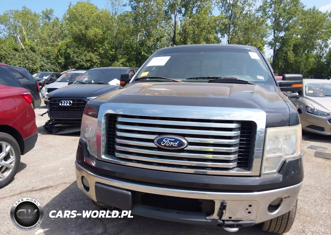 2010 Ford F-150 Fx4-Lariat-Xl-Xlt VIN:1FTFX1EV8AFD23775 - 12