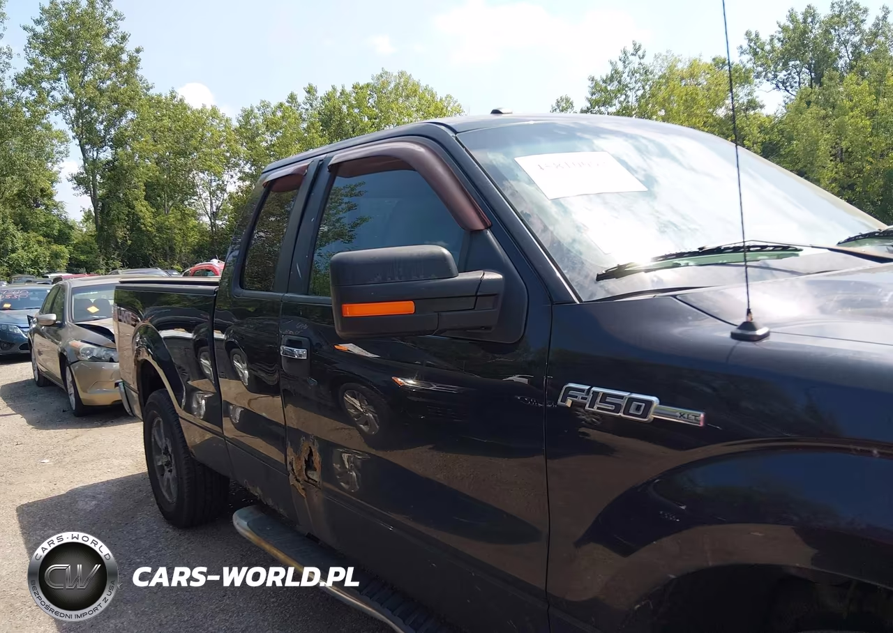 2010 Ford F-150 Fx4-Lariat-Xl-Xlt VIN:1FTFX1EV8AFD23775 - 13