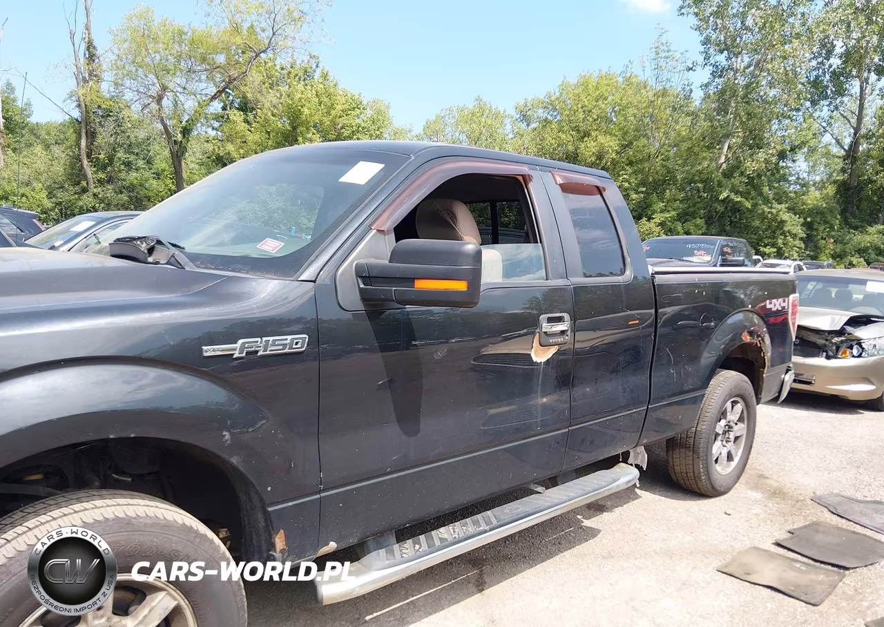 2010 Ford F-150 Fx4-Lariat-Xl-Xlt VIN:1FTFX1EV8AFD23775 - 14