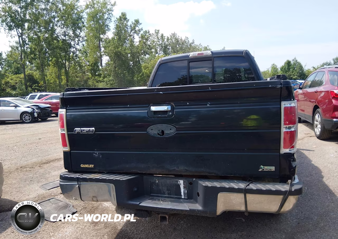 2010 Ford F-150 Fx4-Lariat-Xl-Xlt VIN:1FTFX1EV8AFD23775 - 16
