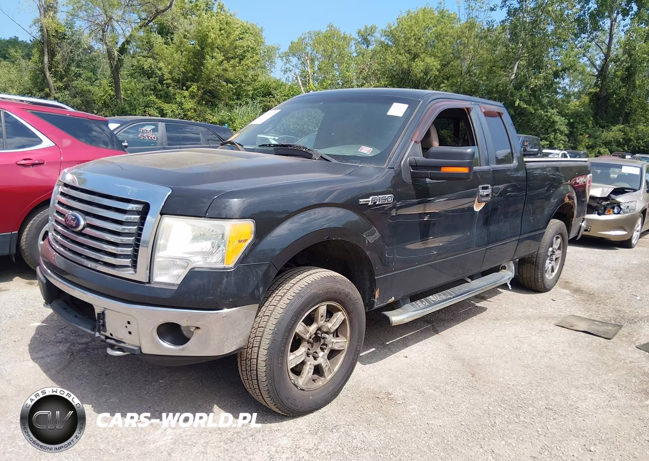 2010 Ford F-150 Fx4-Lariat-Xl-Xlt VIN:1FTFX1EV8AFD23775 - 2