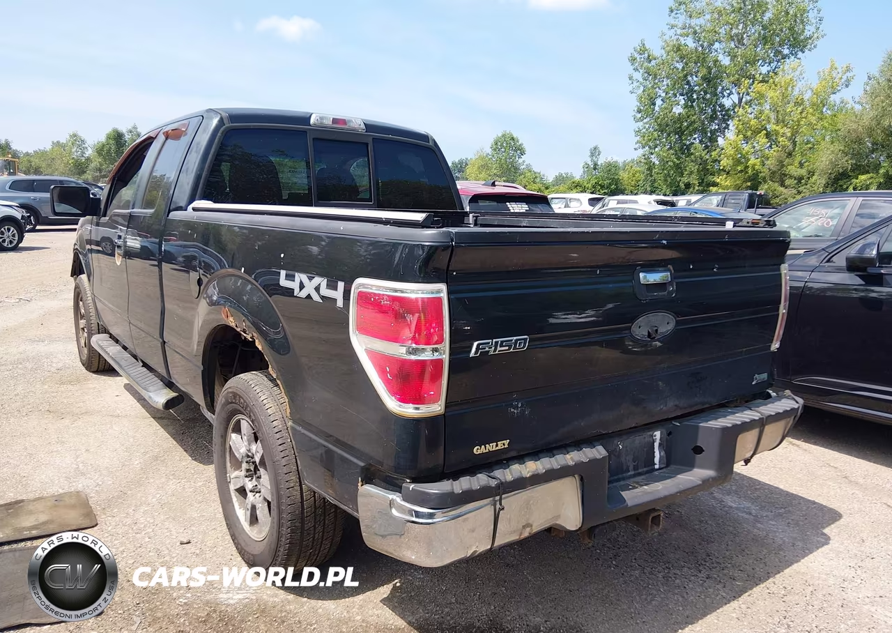 2010 Ford F-150 Fx4-Lariat-Xl-Xlt VIN:1FTFX1EV8AFD23775 - 3