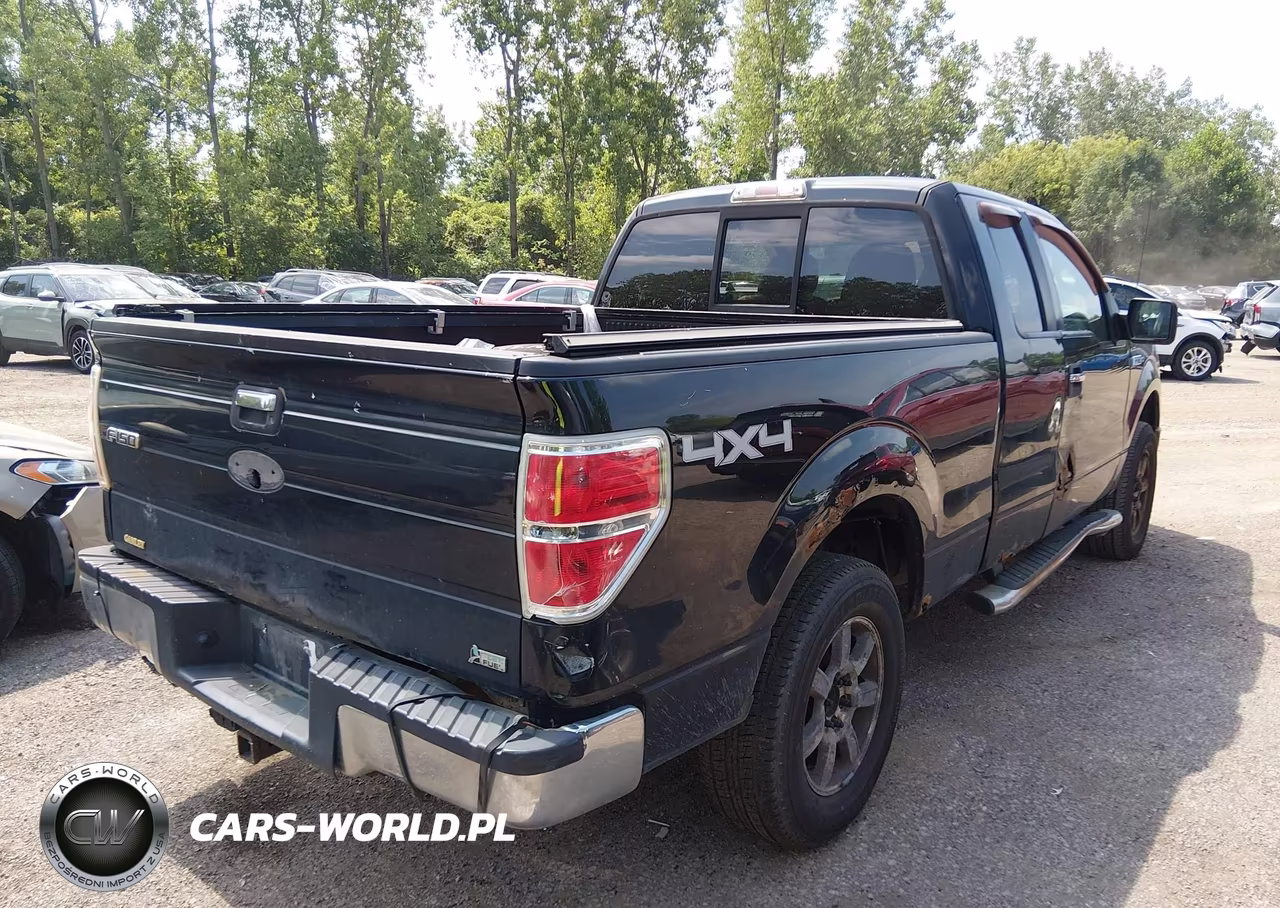 2010 Ford F-150 Fx4-Lariat-Xl-Xlt VIN:1FTFX1EV8AFD23775 - 4