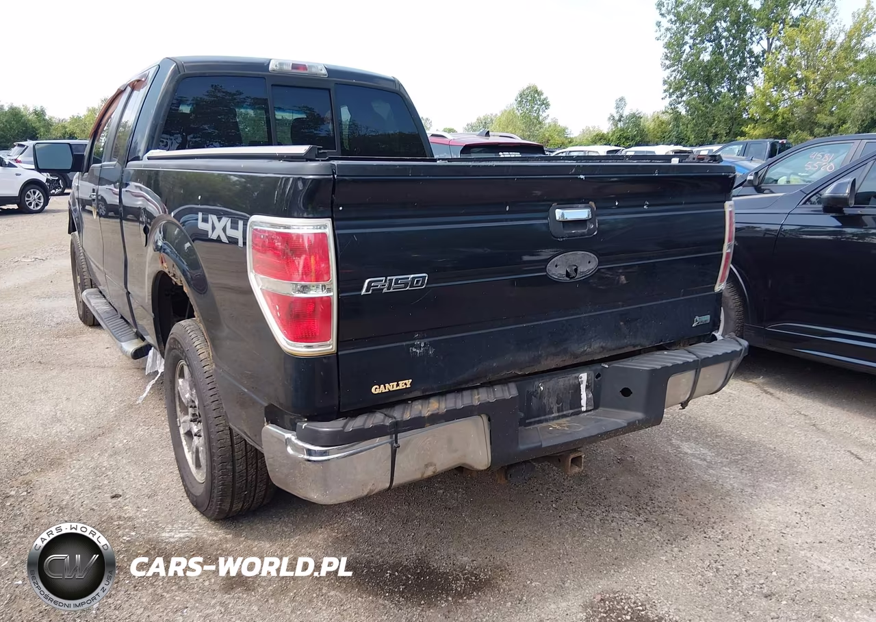 2010 Ford F-150 Fx4-Lariat-Xl-Xlt VIN:1FTFX1EV8AFD23775 - 6