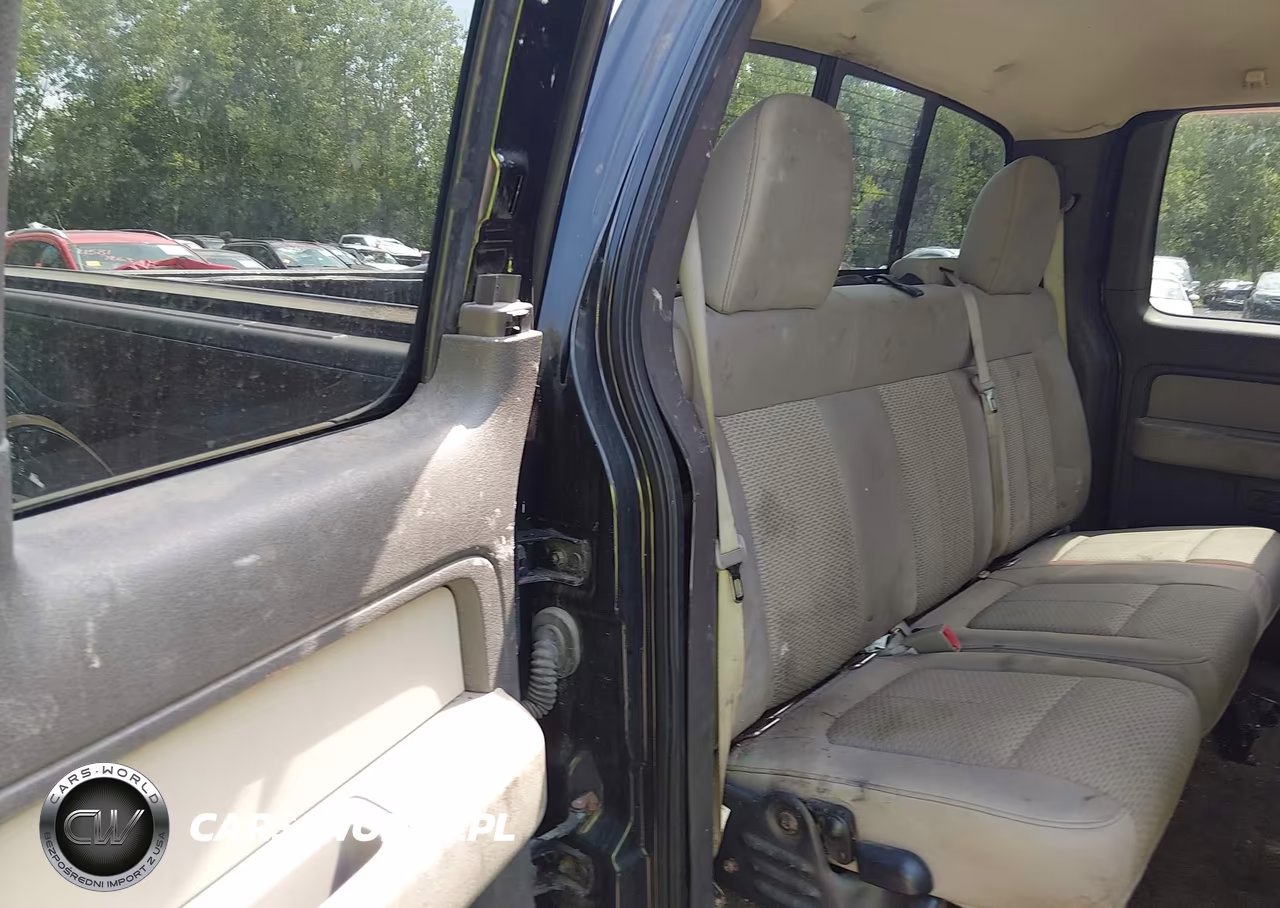 2010 Ford F-150 Fx4-Lariat-Xl-Xlt VIN:1FTFX1EV8AFD23775 - 8