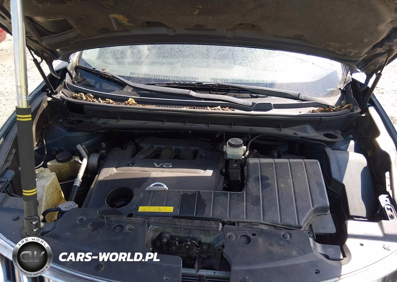 2009 Nissan Murano S VIN:JN8AZ18UX9W021170 - 10