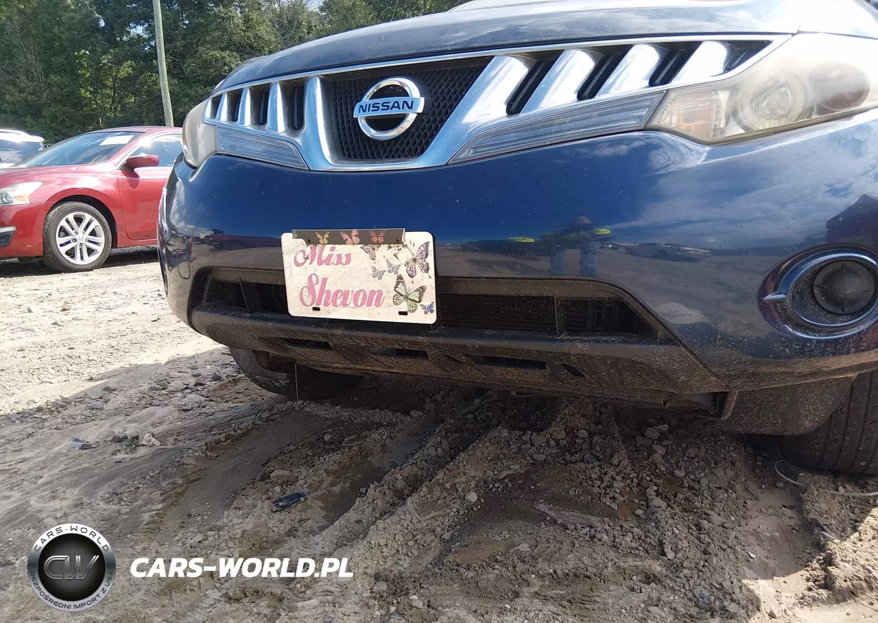 2009 Nissan Murano S VIN:JN8AZ18UX9W021170 - 6