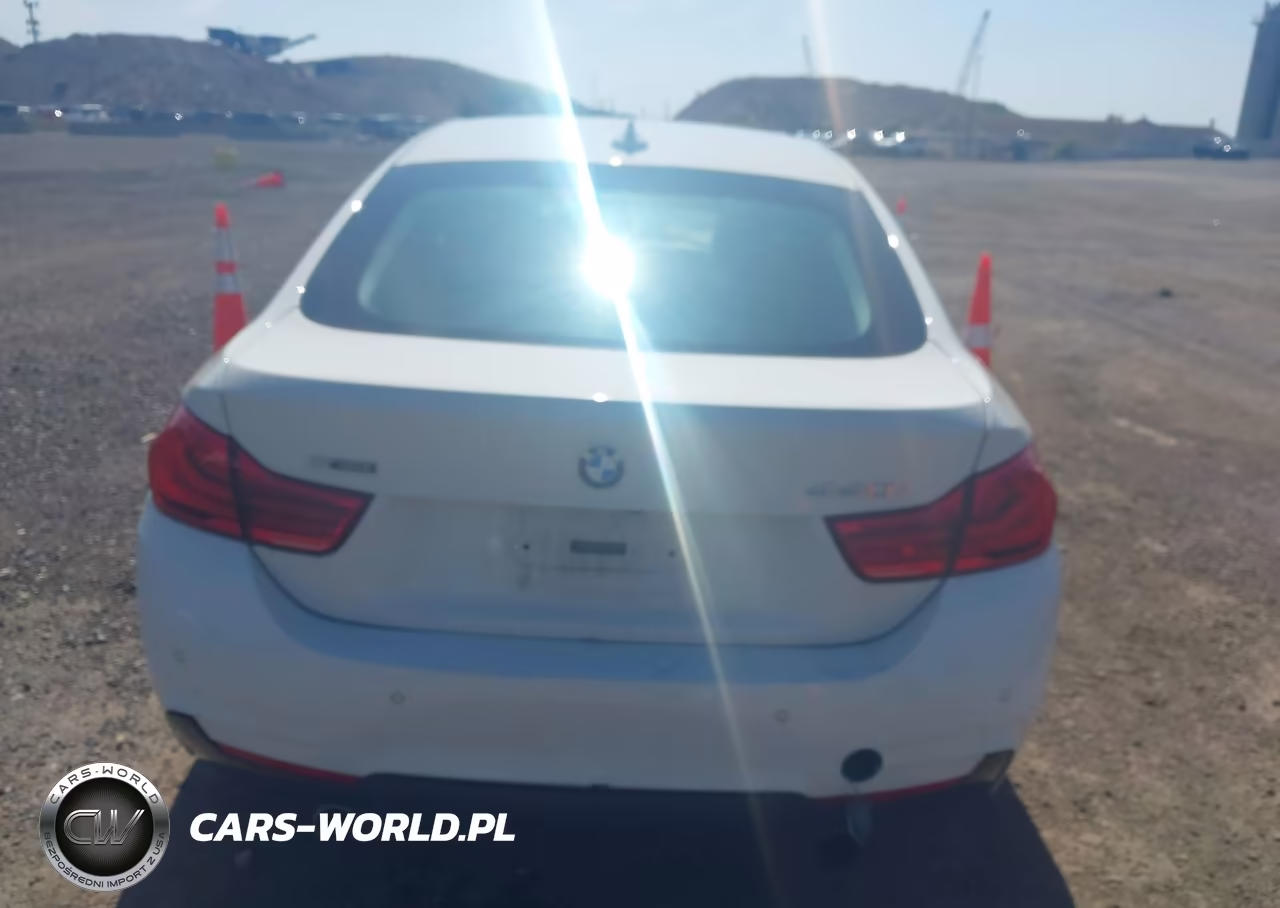 2018 BMW 440I Gran Coupe xDrive VIN:WBA4J7C55JBH15490 - 16