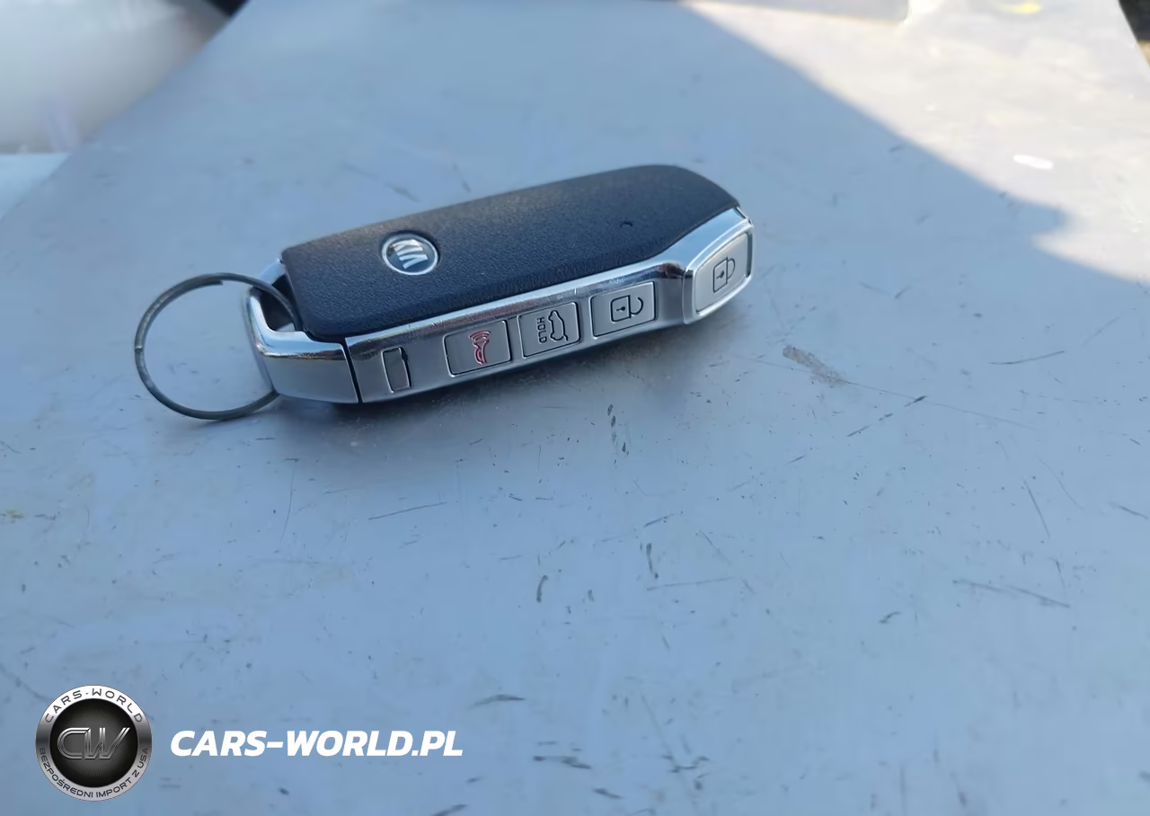 2020 Kia Telluride Sx VIN:5XYP5DHC2LG087551 - 11