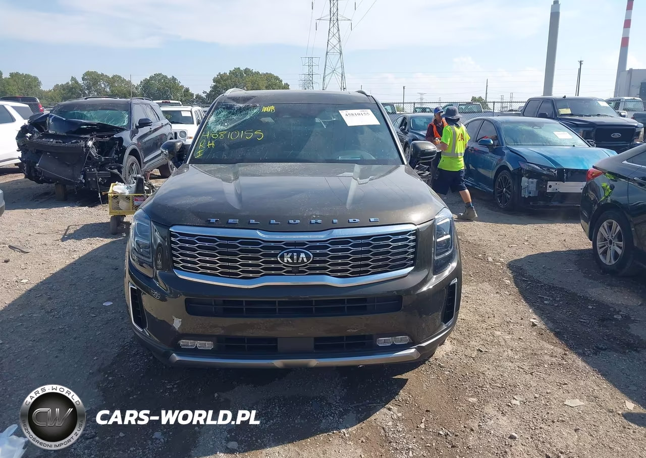 2020 Kia Telluride Sx VIN:5XYP5DHC2LG087551 - 12