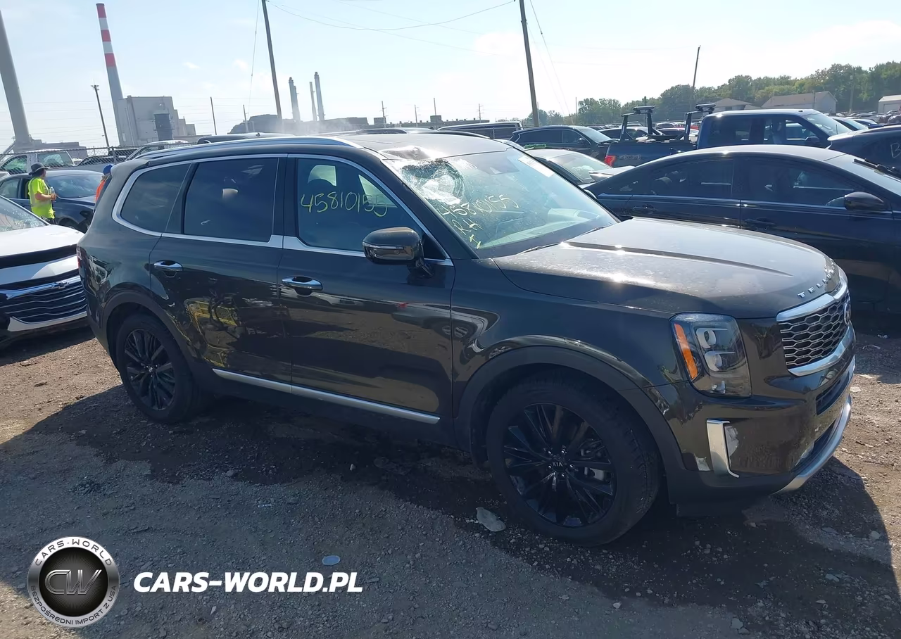 2020 Kia Telluride Sx VIN:5XYP5DHC2LG087551 - 13