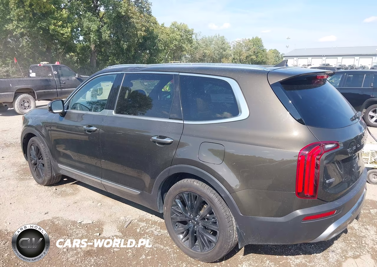 2020 Kia Telluride Sx VIN:5XYP5DHC2LG087551 - 14