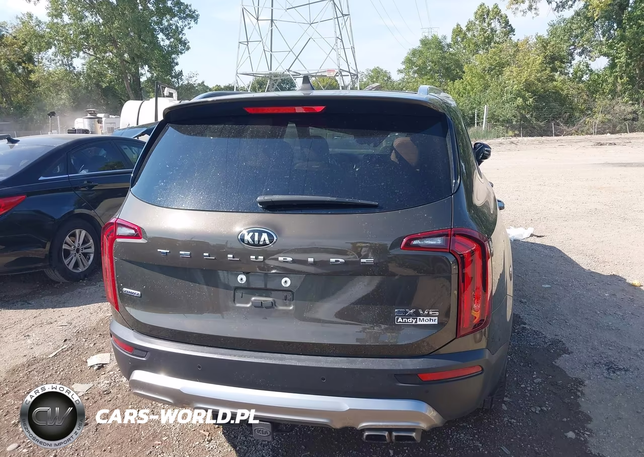 2020 Kia Telluride Sx VIN:5XYP5DHC2LG087551 - 16