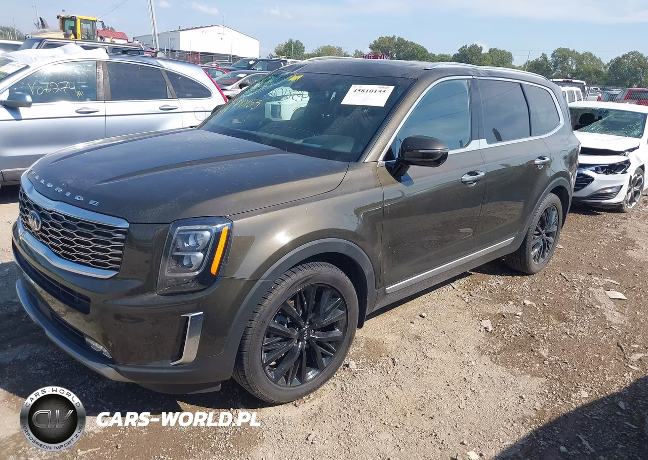 2020 Kia Telluride Sx VIN:5XYP5DHC2LG087551 - 2